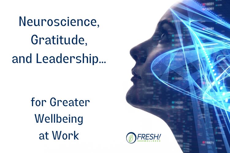 Neuroscience, Gratitude, and Leadership for Wellbeing at Work